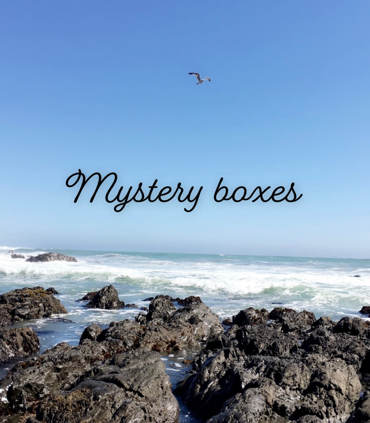 Mystery Box's